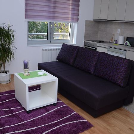 Sekula'S City Center Apartment Belgrád Kültér fotó